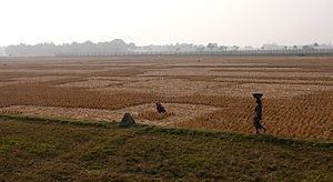Bangladesh–India border BangladeshIndia border Wikipedia