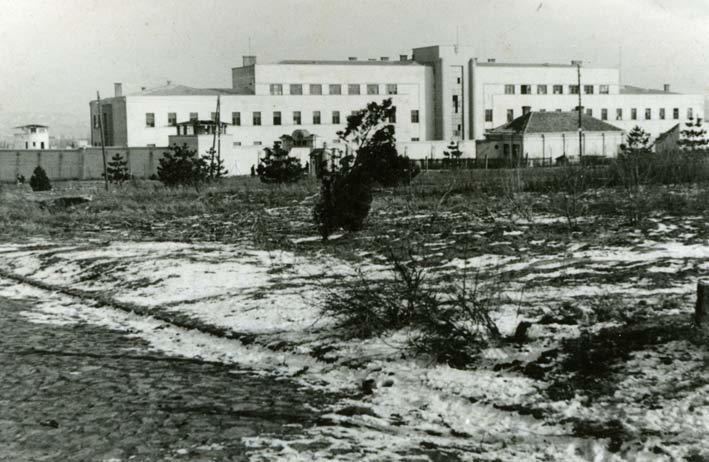 Banjica concentration camp holocaustmuseumtragedyweeblycomuploads2504