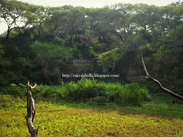 Bankapura Peacock Sanctuary The Voice of Greenery Trekking and Travelling in Western Ghats