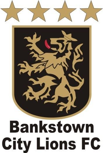 Bankstown City FC backofthenetcomdevwpcontentuploads201505