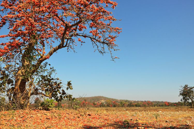 Bankura district Beautiful Landscapes of Bankura district