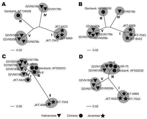 Banna virus Figure 2 Isolation and Molecular Characterization of Banna Virus
