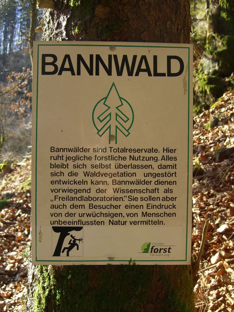 Bannwald Bannwald Schwarzwald Wandern im sdlichen Schwarzwald