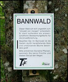 Bannwald httpsuploadwikimediaorgwikipediacommonsthu