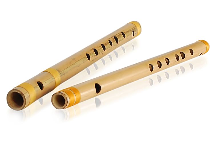 Bansuri Fundamentals of Bansuri flute Expert Board WeGotGuruCom