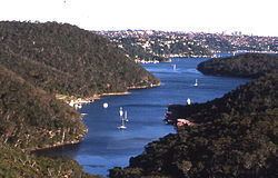 Bantry Bay (New South Wales) httpsuploadwikimediaorgwikipediacommonsthu