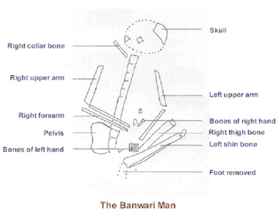 Banwari Trace Review of the Indigenous Caribbean Banwari Man Trinidad39s Oldest