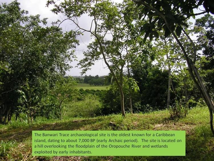 Banwari Trace Landscape and Environmental Change Trinidad University of Cincinnati
