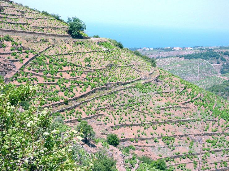 Banyuls AOC Conseil Interprofessionnel des Vins du Roussillon CIVR