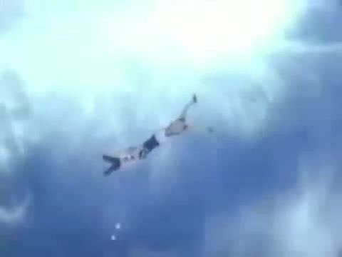 Banzai skydiving