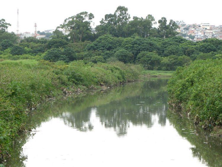 Baquirivu-Guaçu River staticpanoramiocomphotoslarge7638810jpg