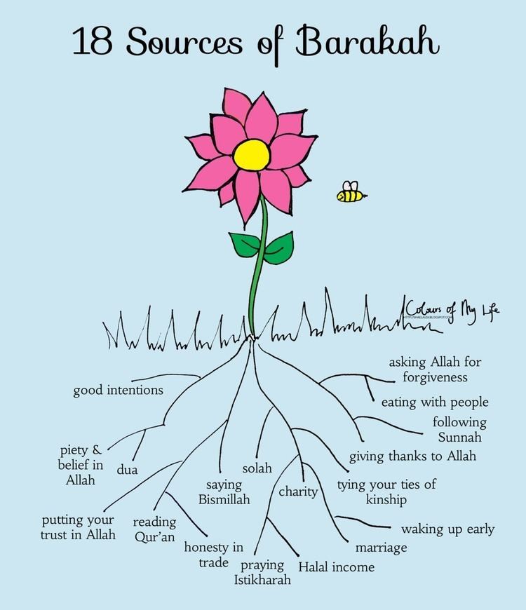 Barakah 18 sources of barakah Islamic Quotes