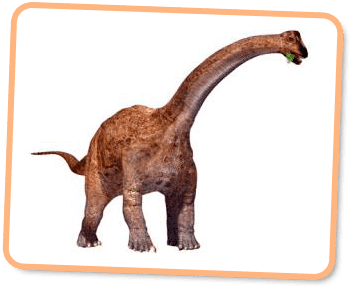 Barapasaurus Barapasaurus Kids Dinos