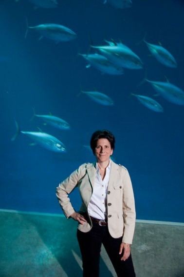 Barbara Block Stanford marine biologist Barbara Block wins Rolex Award for
