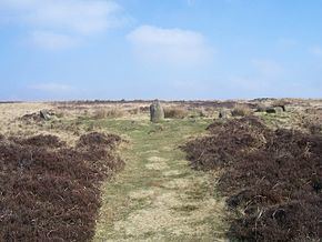 Barbrook One httpsuploadwikimediaorgwikipediacommonsthu
