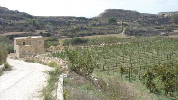 Baħrija What Barija really looks like today timesofmaltacom