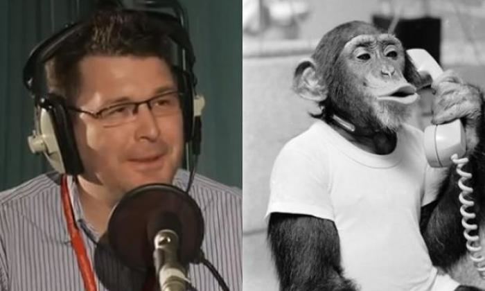 Barry Glendenning Poll Would you rather have Barry Glendenning or a monkey