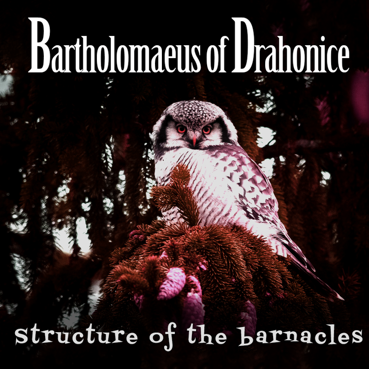 Bartholomaeus of Drahonice Bartholomaeus of Drahonice Structure of the barnacles