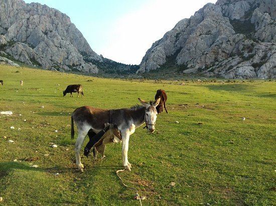 Life in Batken region