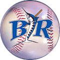 Baton Rouge Blue Marlins httpsuploadwikimediaorgwikipediacommonsbb