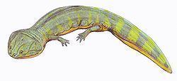 Batrachosuchus httpsuploadwikimediaorgwikipediacommonsthu