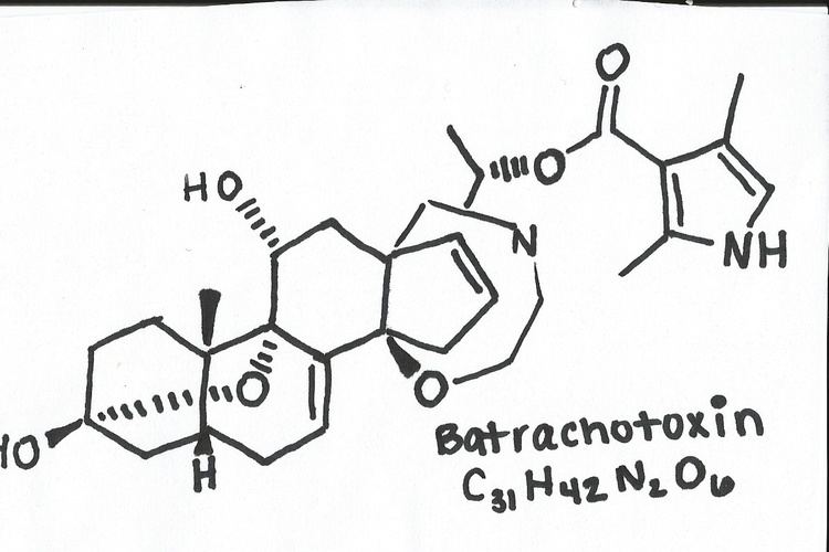 Batrachotoxin UWL Website