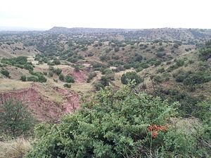 Battle of Blanco Canyon httpsuploadwikimediaorgwikipediacommonsthu