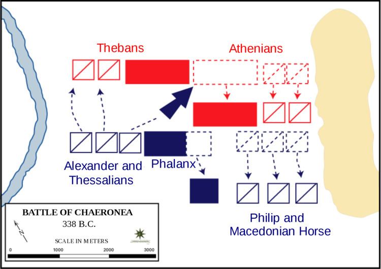 Battle of Chaeronea (338 BC) httpsuploadwikimediaorgwikipediacommonsthu