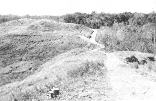 Battle of Edson's Ridge Guadalcanal War in the Pacific Edson39s Ridge