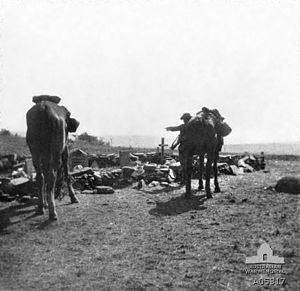 Battle of Elands River (1900) httpsuploadwikimediaorgwikipediacommonsthu