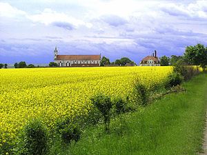 Battle of Elchingen httpsuploadwikimediaorgwikipediacommonsthu