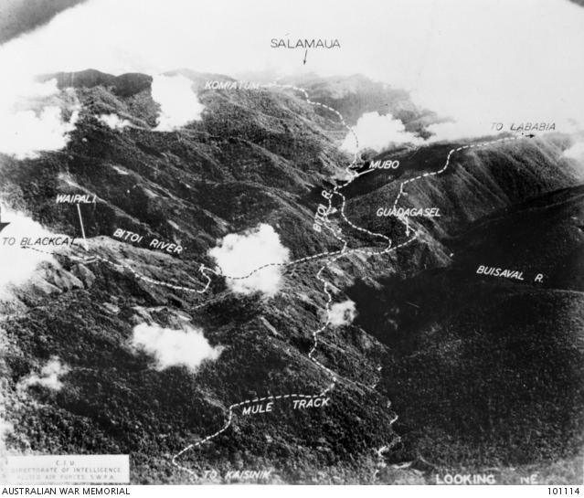 Battle of Lababia Ridge