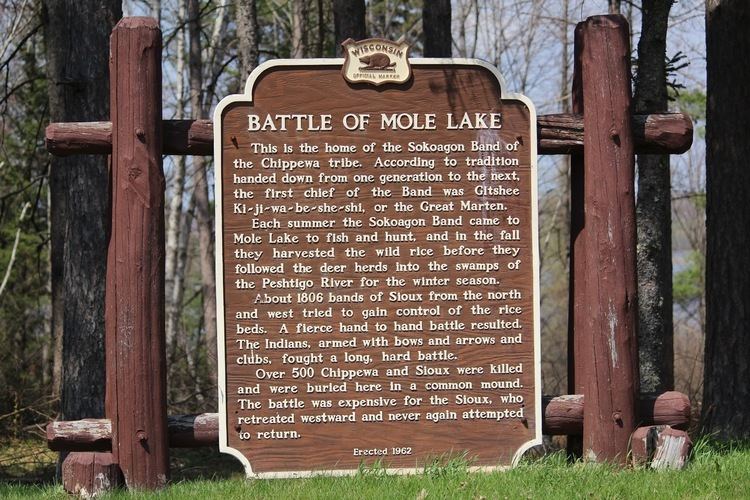 Battle of Mole Lake 1bpblogspotcom7bNqFUQmqQAVUbSmtfg6JIAAAAAAA