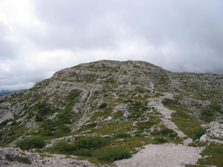 Battle of Mount Ortigara httpsuploadwikimediaorgwikipediacommonsbb