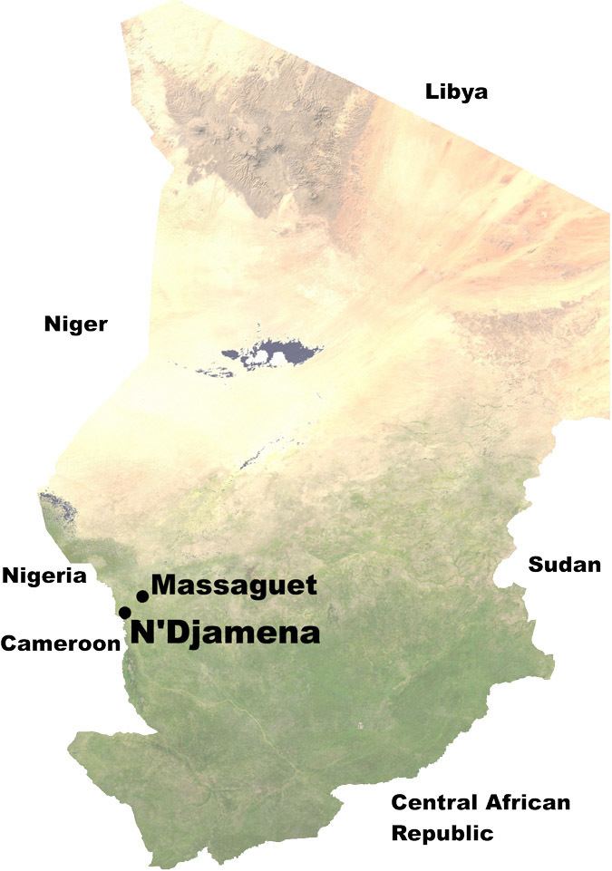 Battle of N'Djamena (2008)