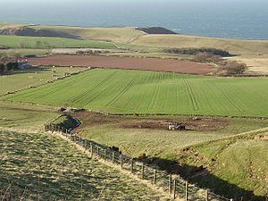 Battle of Piperdean httpsuploadwikimediaorgwikipediacommonsthu