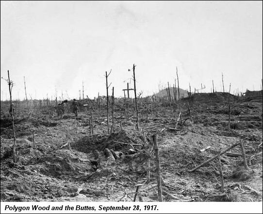 Battle of Polygon Wood - Alchetron, The Free Social Encyclopedia