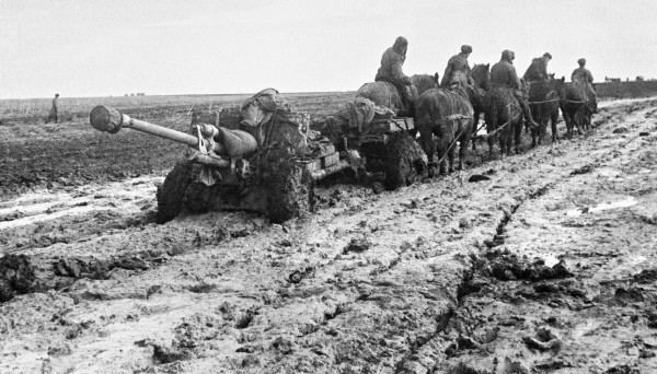 Battle of Rzhev, Summer 1942