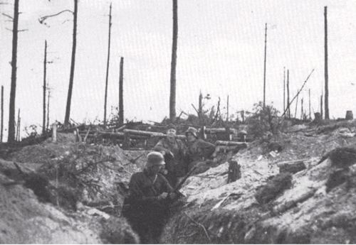 Battle of Tali-Ihantala Finnish Forces Forward observation post