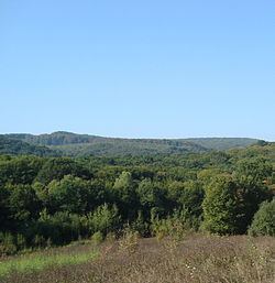 Battle of the Cosmin Forest httpsuploadwikimediaorgwikipediacommonsthu