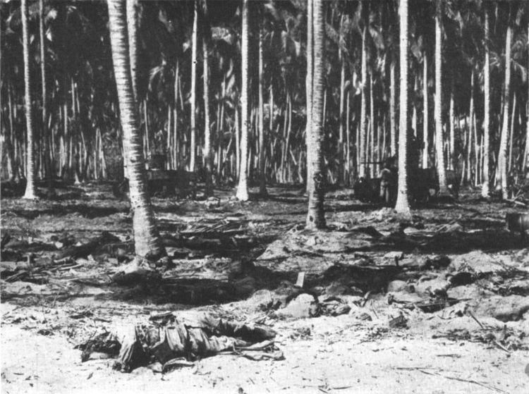 Battle of the Tenaru FileUSMC tanks after Battle of the Tenaru on Guadalcanal 1942jpg