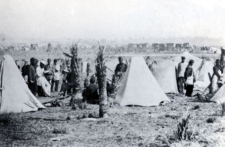 Battle of Tuyutí War of the Triple Aloliance 18641870