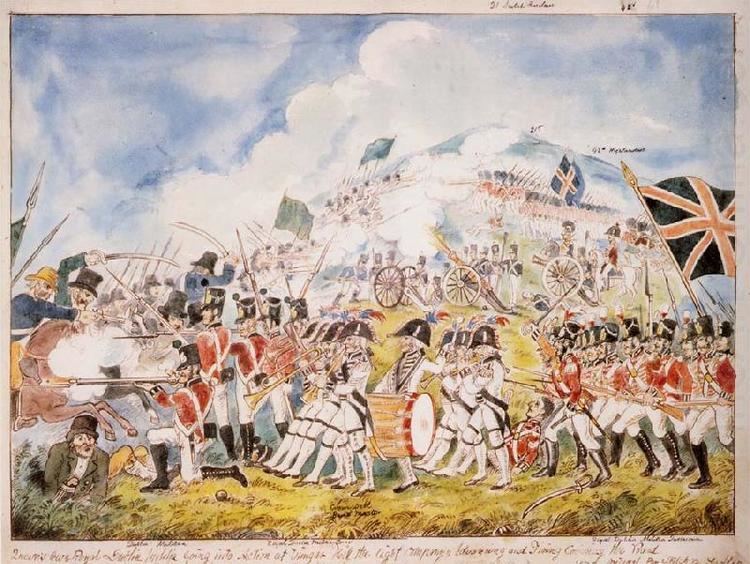 Battle of Vinegar Hill A reconstruction by William Sadler of the Battle of Vinegar Hill