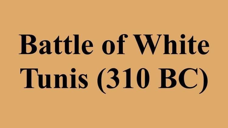 Battle of White Tunis (310 BC) Battle of White Tunis 310 BC YouTube