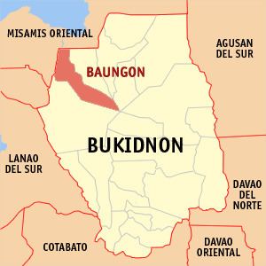Baungon, Bukidnon