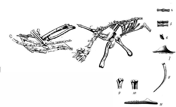 Bavarisaurus Pulling Bavarisaurus out of the belly of Compsognathus The