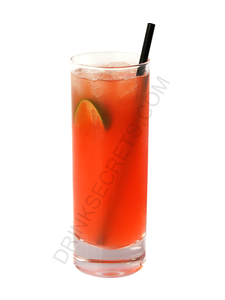 Bay Breeze Bay Breeze drink recipe all the drinks have pictures
