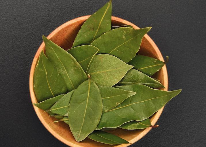 Bay leaf Bay Leaf Tea Recipe