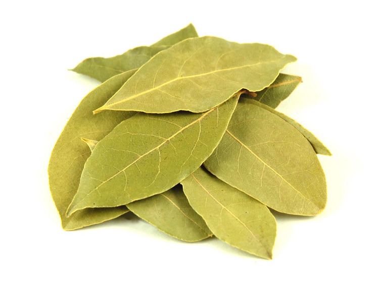 Bay leaf Bay Leaves California Laurel Leaves Savory Spice