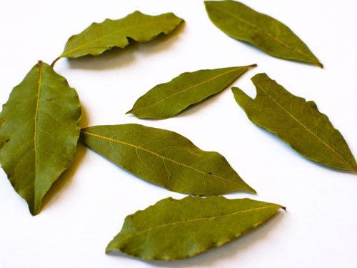 Bay leaf wwwseriouseatscomimages20111220111229185336